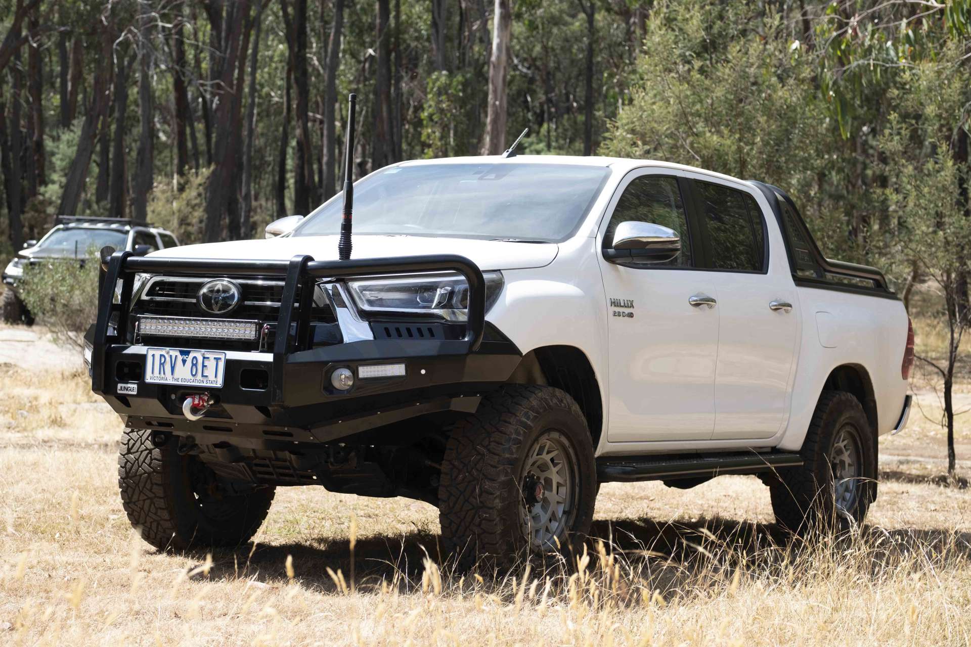 The Best Bull Bar Designs for Protecting Your Truck from Animal Strikes